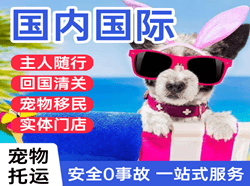 漠河空运代理国际宠物托运 【国